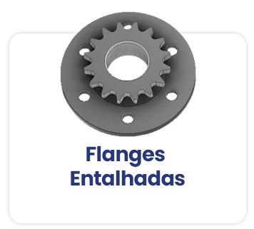 Flanges-Entalhadas.png